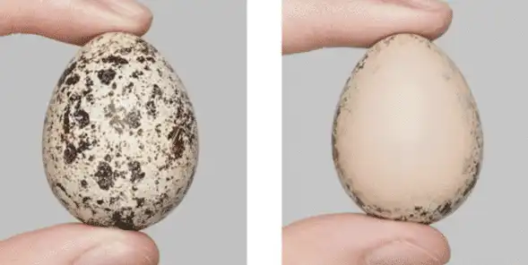 Voděodolný korektor s perfektním krytím - Obrázek 3