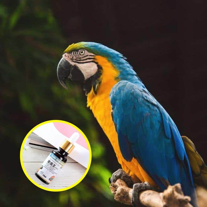 PlantGenic Bird Deworder - Obrázek 3