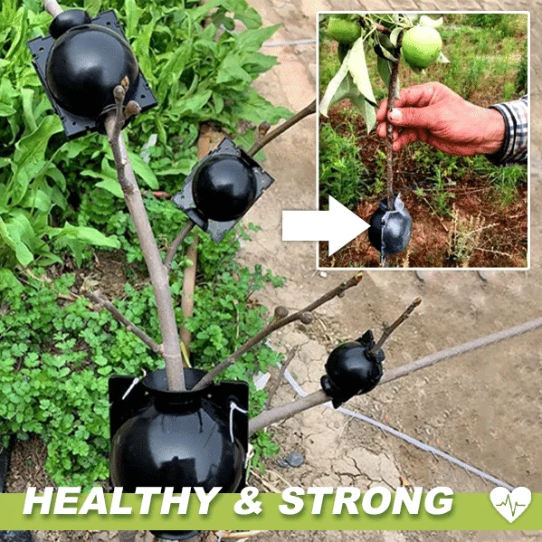 Boxy pro vzduchové vrstvení rostlin 3ks - Obrázek 2