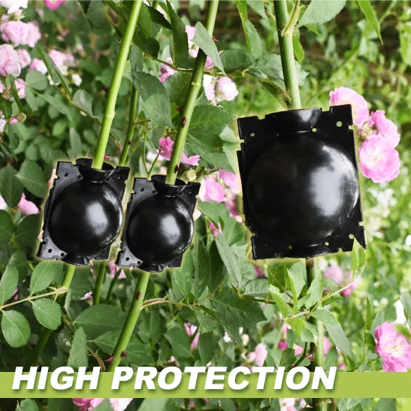 Boxy pro vzduchové vrstvení rostlin 3ks - Obrázek 3